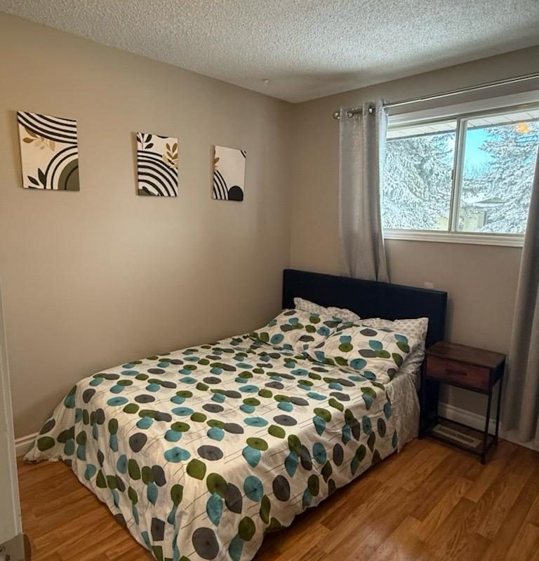 WhatsApp Image 2026-01-15 at 10.30.37 AM