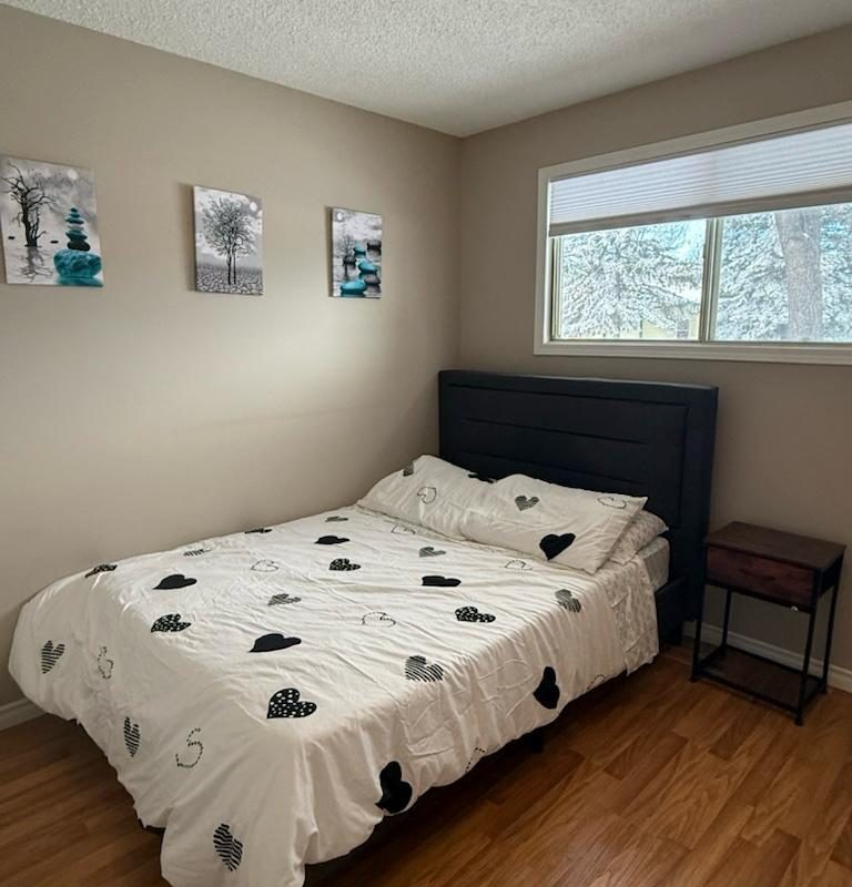 WhatsApp Image 2026-01-15 at 10.30.50 AM